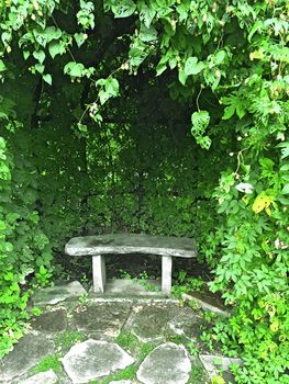 Stone bench in green summer garden decorated with ivy.