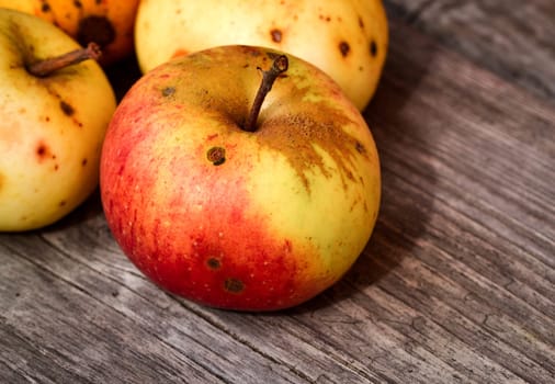 autumn background red apple still life