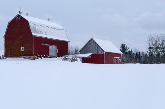 Red Barn in the winter in New Brunswick