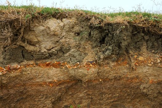 cut of soil with different layers at the Freshwater lake., Thailand.