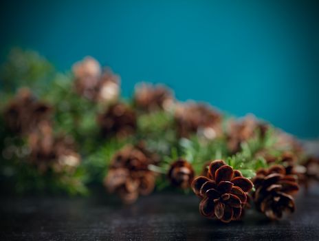 Pine bough with pine cones on black wood background