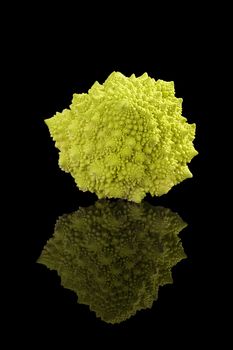 Romanesco broccoli isolated on black background. Healthy vegetable eating. 