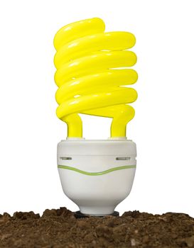 Bulb in soil