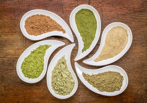 nutirtion supplement abstract - a top view of teardrop shaped bowls of various powders - cacao, wheatgrass, maca root, hemp protein, kelp, moringa leaf