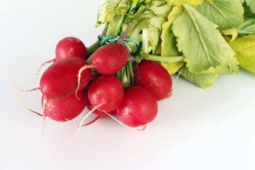 Detail of the bundle of radishes