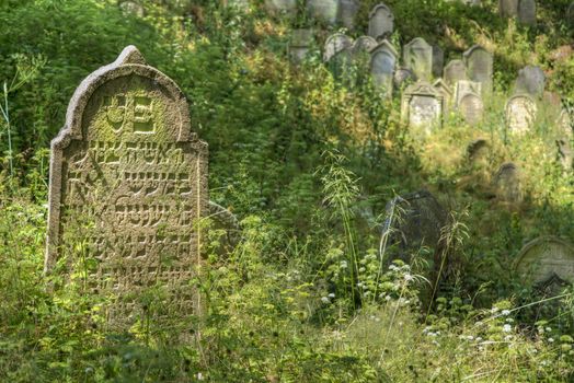 Jewish Cemetery - Nove Sedliste, Czech republic
It was founded probably in the second half of the 17th century and used until the 30s of the 20th century. Survives about 180 tombstones, the oldest from 1704. In addition, there are mainly Baroque and Classical gravestones.