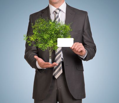 Businessman in suit hold empty card and green tree. Blue background