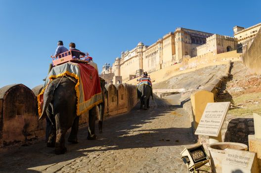 Jaipur, India - December 29, 2014: Tourists enjoy elephant ride in the Amber Fort on December 29, 2014, Amber Fort was built by Raja Man Singh I  in Jaipur, Rajasthan, India.