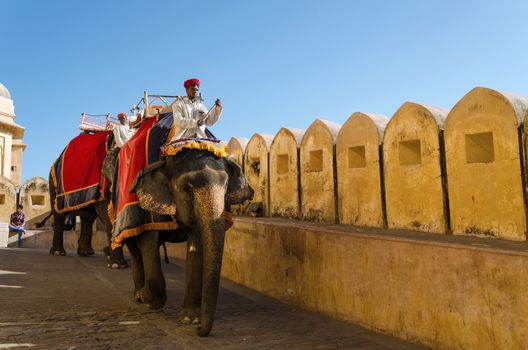 Jaipur, India - December 29, 2014: Tourists enjoy elephant ride in the Amber Fort on December 29, 2014, Amber Fort was built by Raja Man Singh I  in Jaipur, Rajasthan, India.