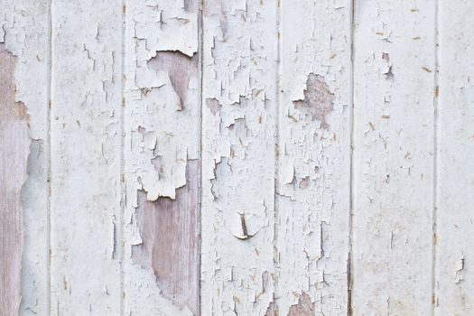 Vintage white background old scratched wood wall