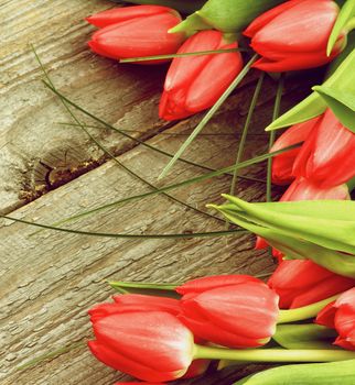 Arrangement of Beautiful Spring Red Tulips with Green Grass on Rustic Wooden background. Retro Styled
