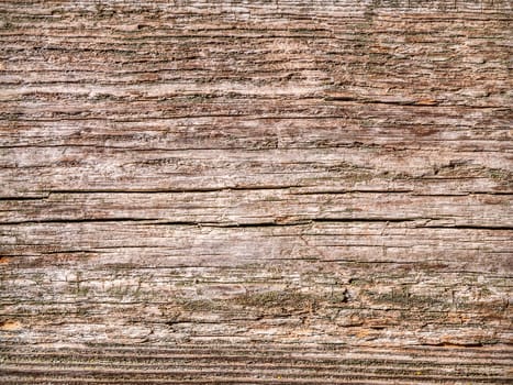 Old wooden texture