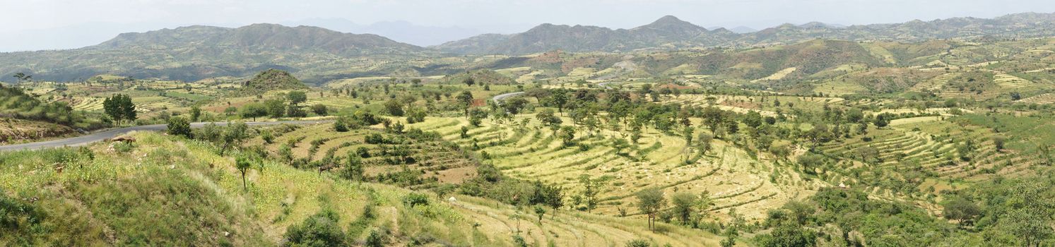 Traditional terraced fields of Konso people, Ethiopia, Africa