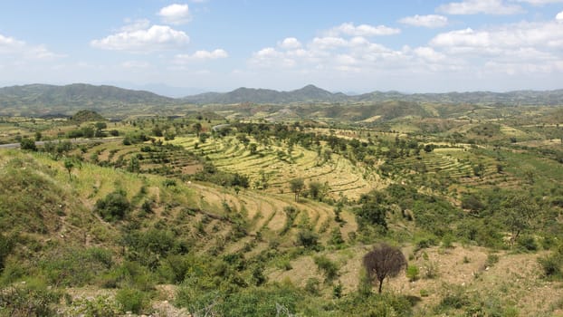 Traditional terraced fields of Konso people, Ethiopia, Africa