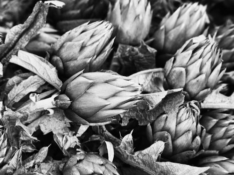 Black and White image of artichokes at street market