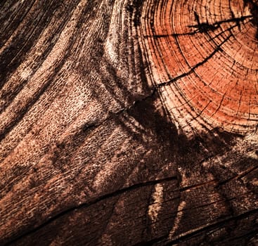 abstract background or texture beautifully detail in wood