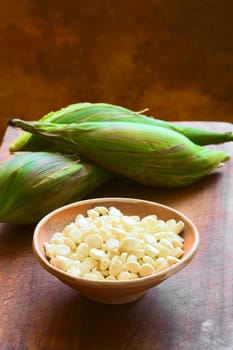 Kernels of white corn called Choclo (Spanish), in English Peruvian or Cuzco corn, typically found in Peru and Bolivia and used in traditional dishes, photographed with natural light (Selective Focus, Focus one third into the kernels)     