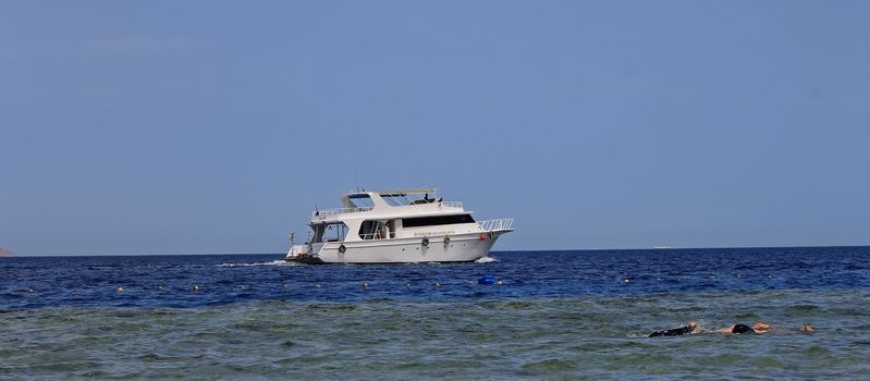 White Ship Moving By The Red Sea