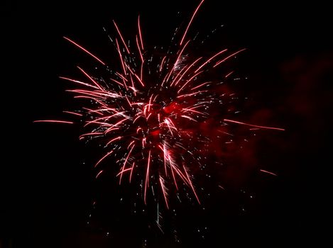 Celebration firework in the black night sky