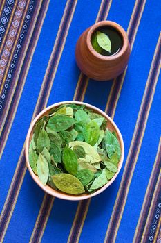 Overhead shot of dried coca leaves in clay bowl with fresh coca tea (mate de coca) on blue fabric, photographed with natural light 