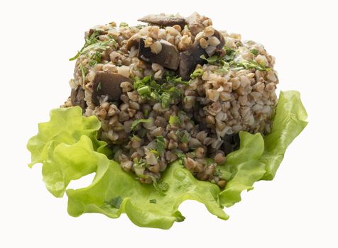 The lettuce is the porridge of buckwheat.