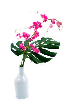 Pink flowers and green leaves in a vase.