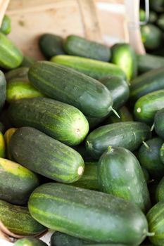 Fresh green cucumbers piled on a market stand. Shallow depth of field.