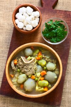 Bolivian traditional soup called Chairo de Tunta (tunta is a freeze-dried potato typical in the Andean regions) made of tunta, beef, broad beans, peas and carrots, uncooked tunta in the back, photographed with natural light (Selective Focus, Focus on the soup)    