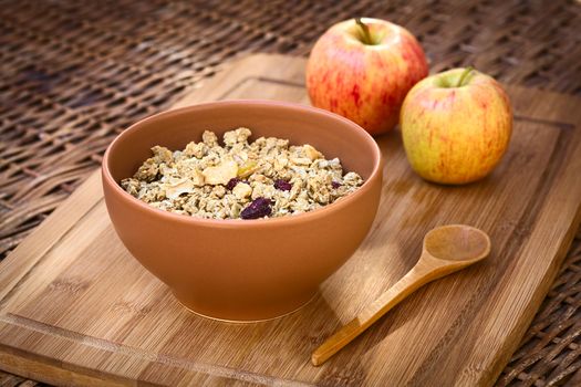 Bowl of healthy oatmeal cereal with almonds, dried apple and cranberries photographed with natural light (Selective Focus, Focus in the middle of the granola)