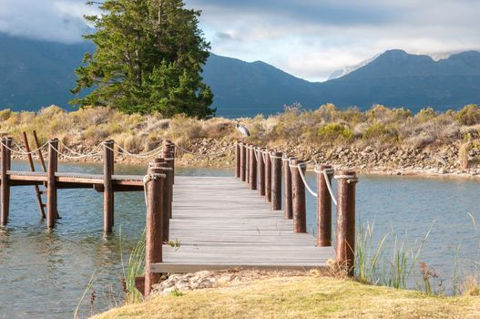A black-headed heron, Ardea melanocephala, on a jetty near Somerset West in the Western Cape Province of South Africa
