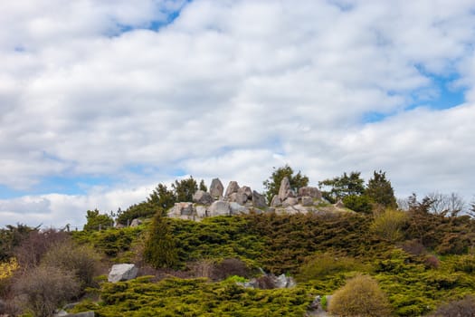 Rockery (alpine garden) in Kyiv botanical garden.