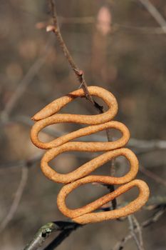 Teterki, Russian rye cookies for spring equinox selebration in nature vertical