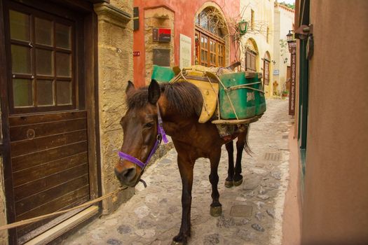 Close view of a horse walking in Monemvasia narrow alleys.