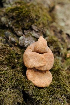 Zhavoronki, Russian rye cookies for spring equinox selebration in nature vertical