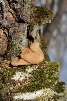 Zhavoronki, Russian rye cookies for spring equinox selebration in nature vertical