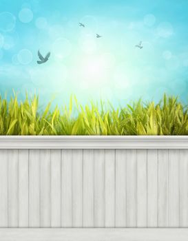  Spring wall background/backdrop