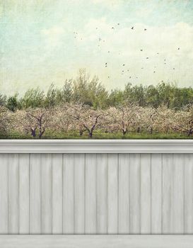  Spring wall background/backdrop