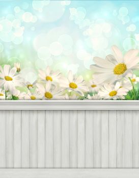  Spring wall background/backdrop