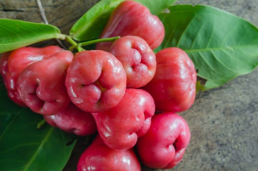 still life of rose apple or chompu on wooden