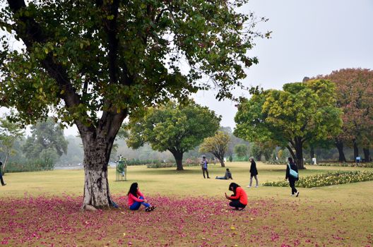 Chandigarh, India - January 4, 2015: Tourist visit Zakir Hussain Rose Garden on January 4, 2015 in Chandigarh, India. Zakir Hussain Rose Garden, is a botanical garden with 50,000 rose-bushes of 1600 different species.