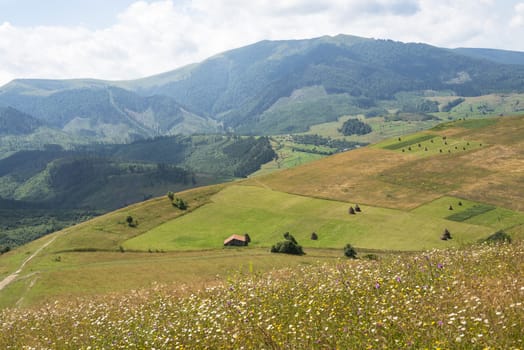 Summer landscape in the Ukrainian Carpathian Mountains.