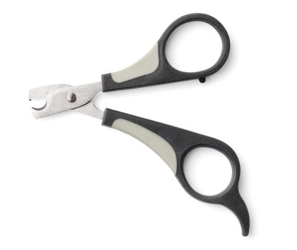Small nail clippers used for trimming the nails of a cat or a small dog.