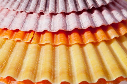 background of colorful sea shells macro