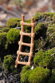 Lestvitsa, Russian rye festive spring cookie in moss vertical