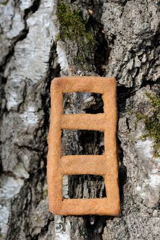 Lestvitsa, Russian rye festive spring cookie on tree vertical