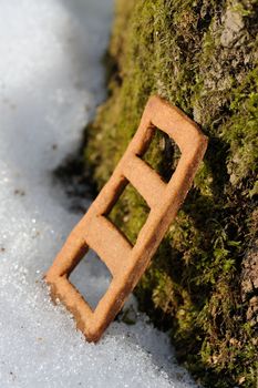 Lestvitsa, Russian rye festive spring cookie in snow vertical