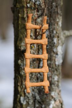 Lestvitsa, Russian rye festive spring cookie on tree branch vertical