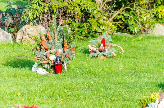 View of an burial box an cemetery with flowers.