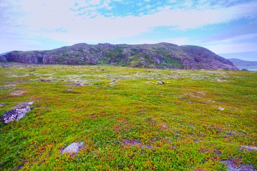 hills with tundra above Arctic circle