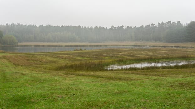 Wet open landscape between the forest in fog